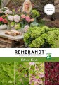 Hydrangea-macr.-Rembrandt-Vibrant-Verde-front-1.2-RGB