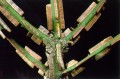 EUNOMYNUS ALATUS-3